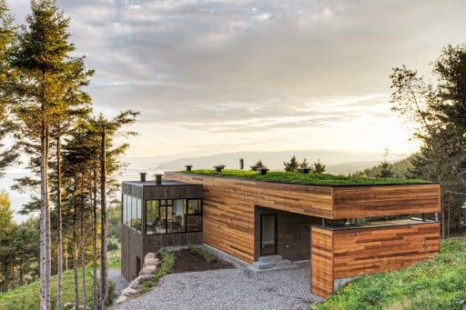 Nature,, Interior Design, Wood, Housing, Outdoors, Tree, Scenery