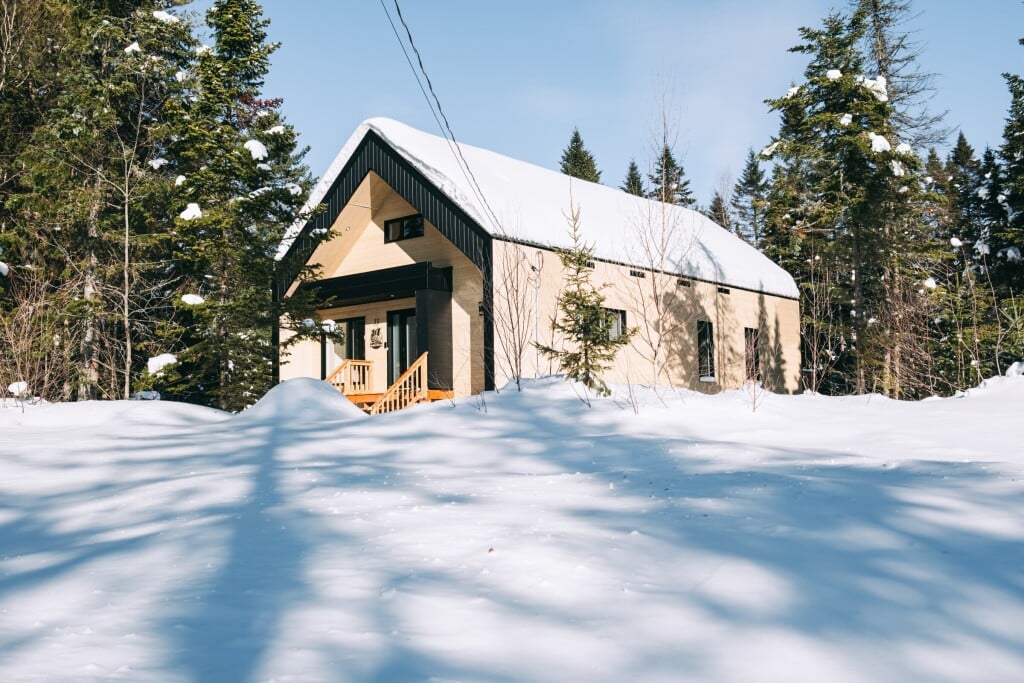 Nature, Abri, Arbre, Sapin, Logement, Cabane, Maison