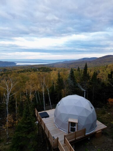 Québec, Plant, Vegetation, Outdoors, Nature