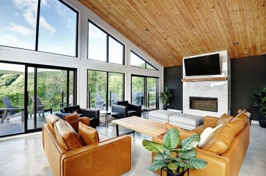 Nature, Design D'intérieur, Décoration D'intérieur, Chaise, Table, Salon, Plante