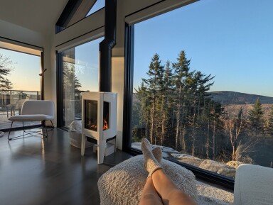 Nature, Arbre, Salon, Paysage, Design D'intérieur, Cheminée, Sol