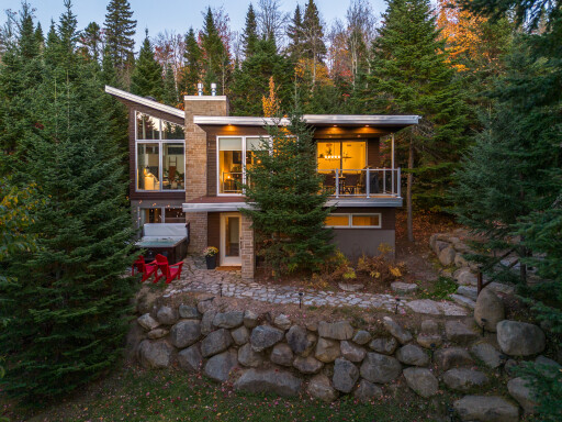 Nature,, Tree, Fir, Conifer, Pine, Spruce, Shelter