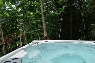 Québec, Tub, Hot Tub, Plant, Vegetation, Tree