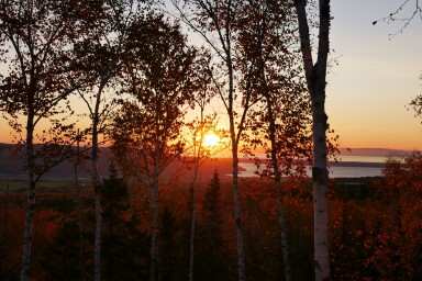 Nature,, Nature, Sky, Sunset, Tree, Sunlight, Sunrise