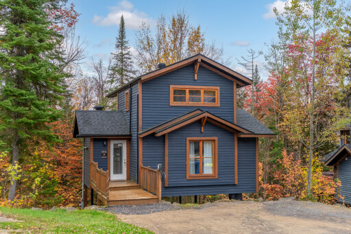 Nature, Arbre, Logement, Abri, Maison, Chalet, Cabane