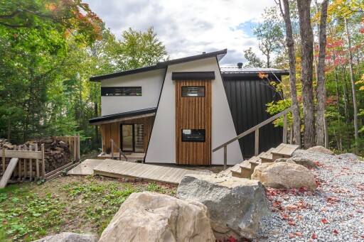 Nature,, Shelter, Interior Design, Backyard, Housing, Tree, Wood