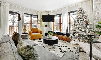 Canada, Décoration D'intérieur, Écran, Canapé, Décorations De Noël, Salon, Plante