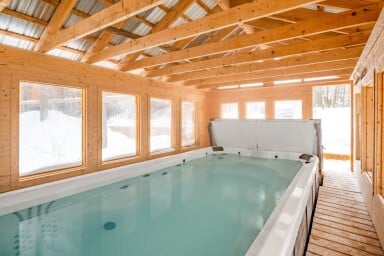 Chalet, Design D'intérieur, Piscine, Piscine, Bois, Bain À Remous, Bain À Remous
