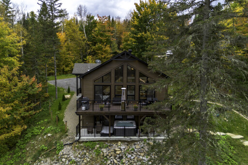 Nature,, Plant, Tree, Fir, Building, Housing, Chair