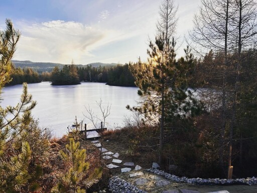 Nature, Nature, Plein Air, Paysage, Bord De Lac, Eau, Lac